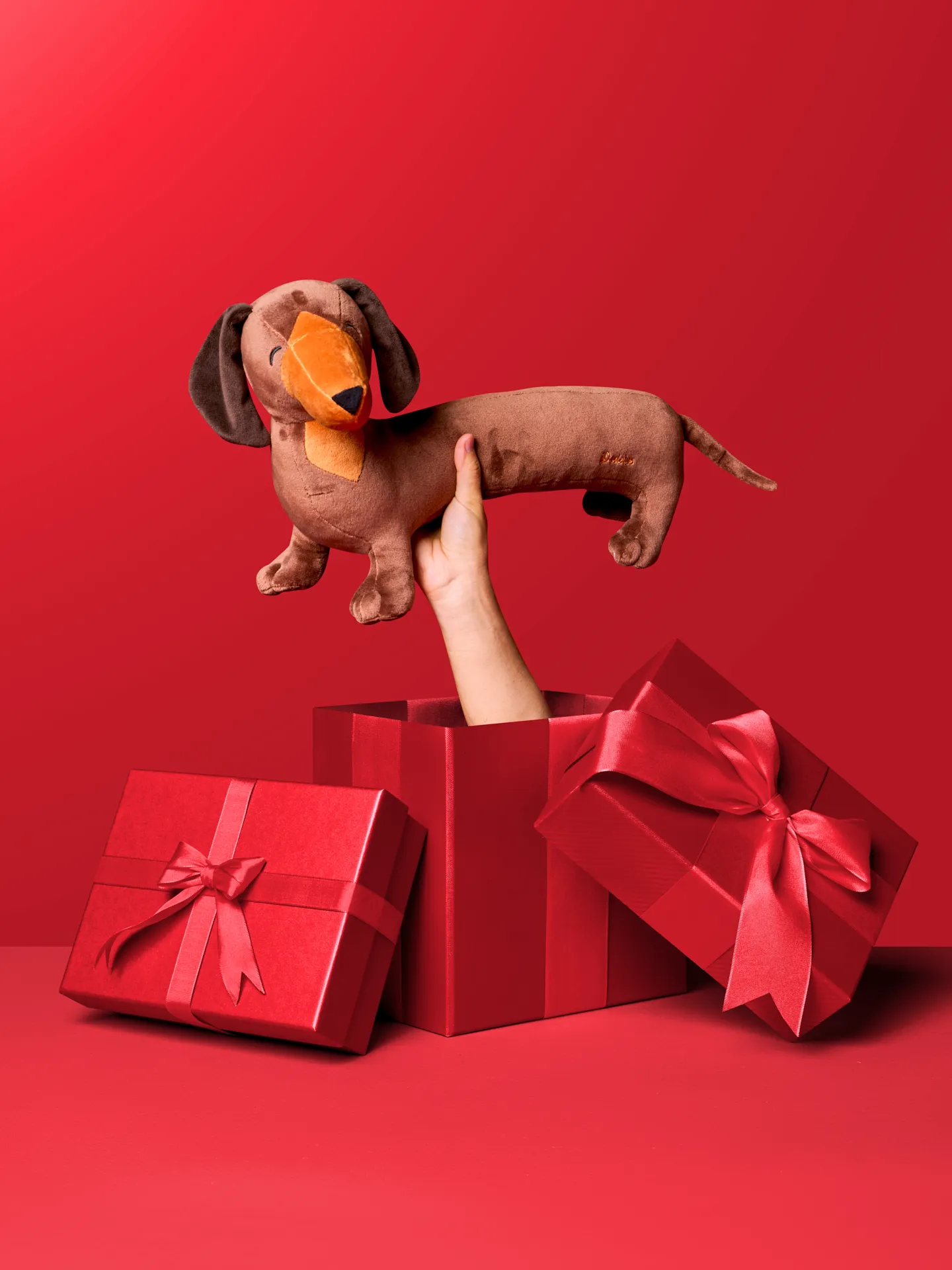 Peluche Dedoles Teckel long - Image 3