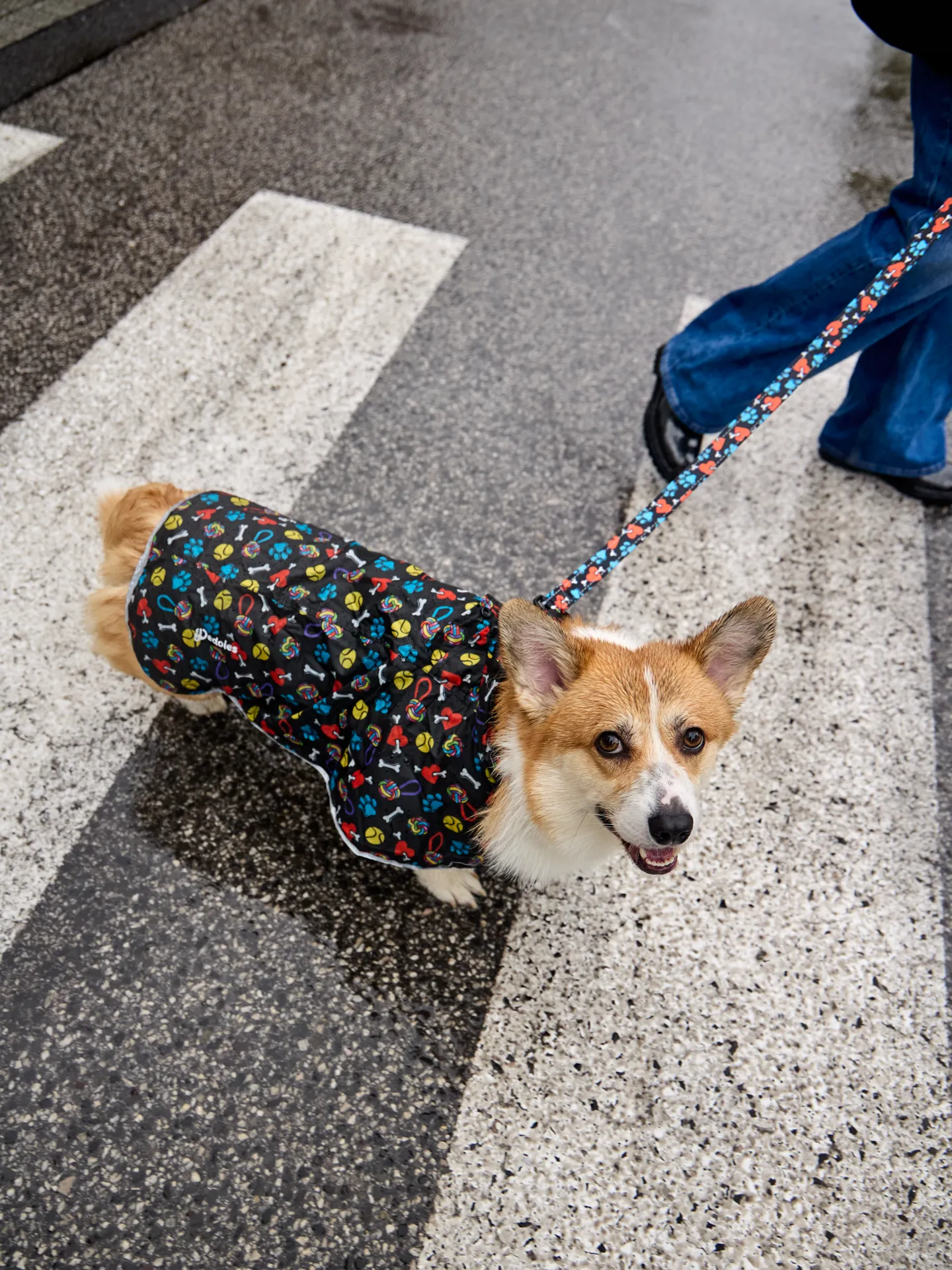 Manteau de pluie pour chien Petits coeurs et pattes - Image 7