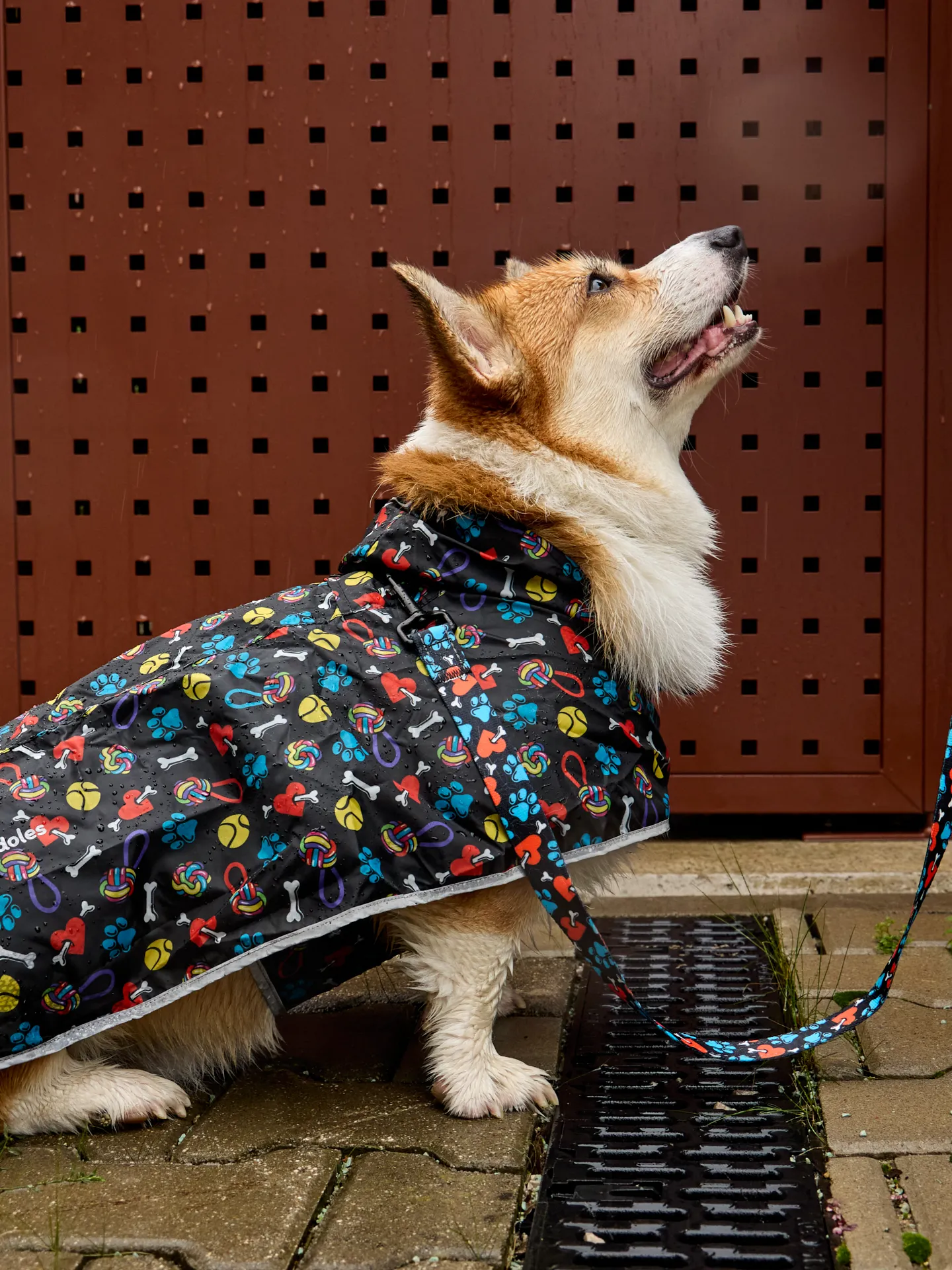 Manteau de pluie pour chien Petits coeurs et pattes - Image 8