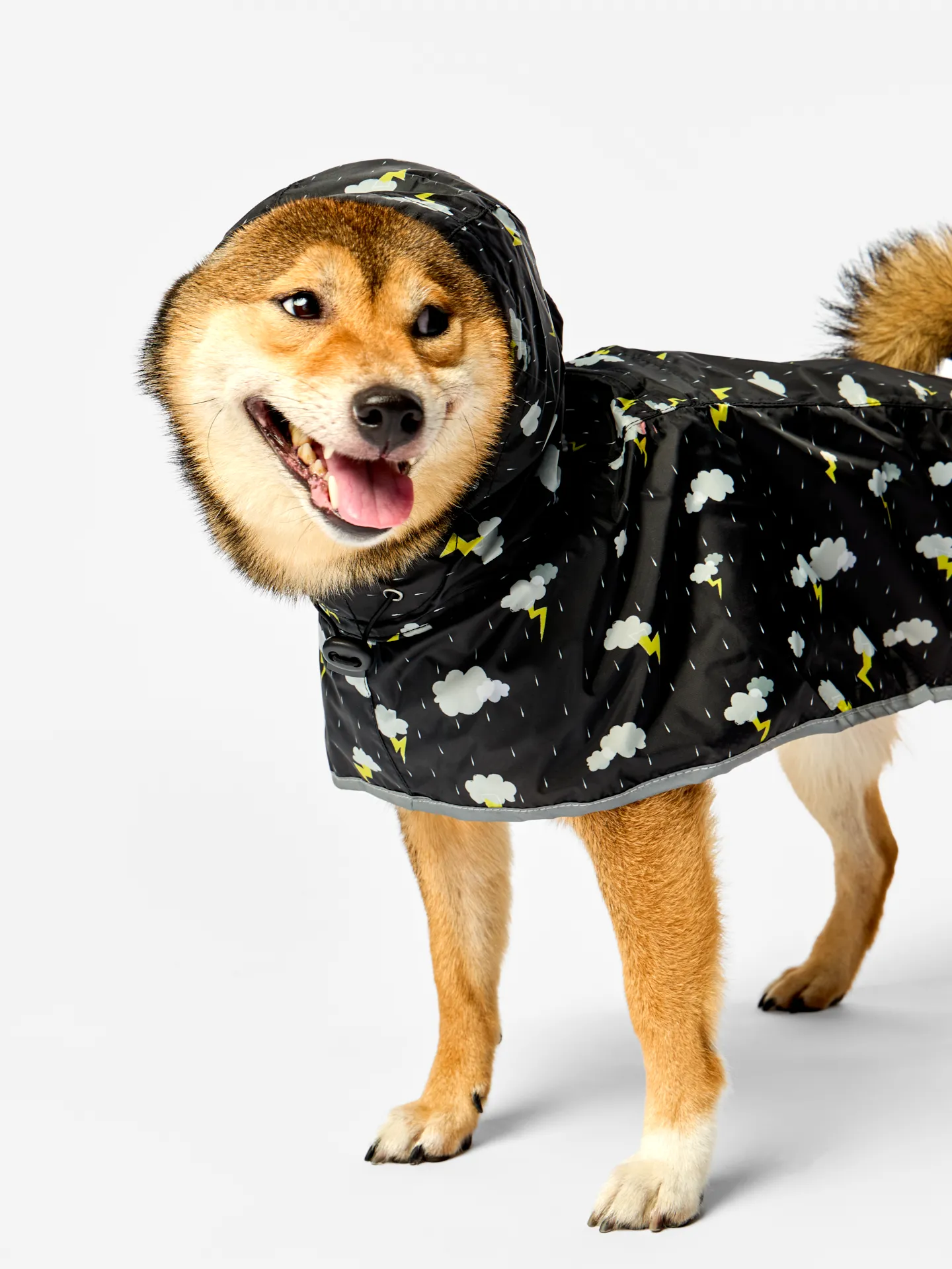 Manteau de pluie pour chien Tempête - Image 3
