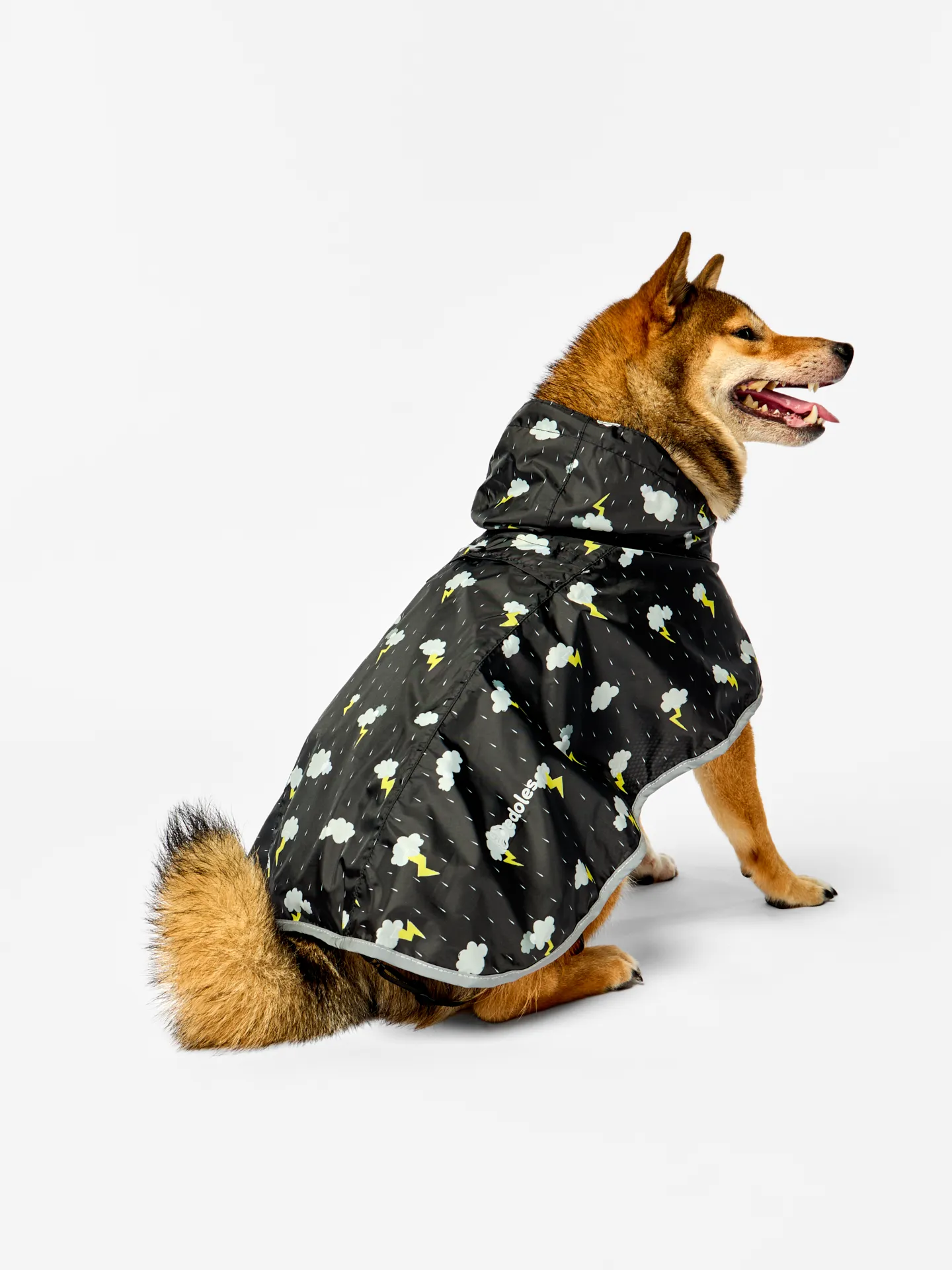Manteau de pluie pour chien Tempête - Image 5