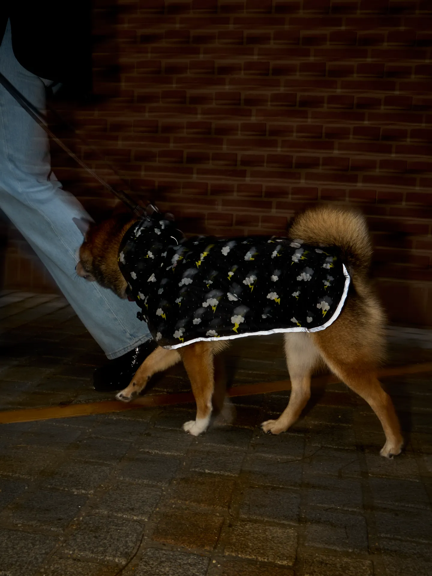 Manteau de pluie pour chien Tempête - Image 8