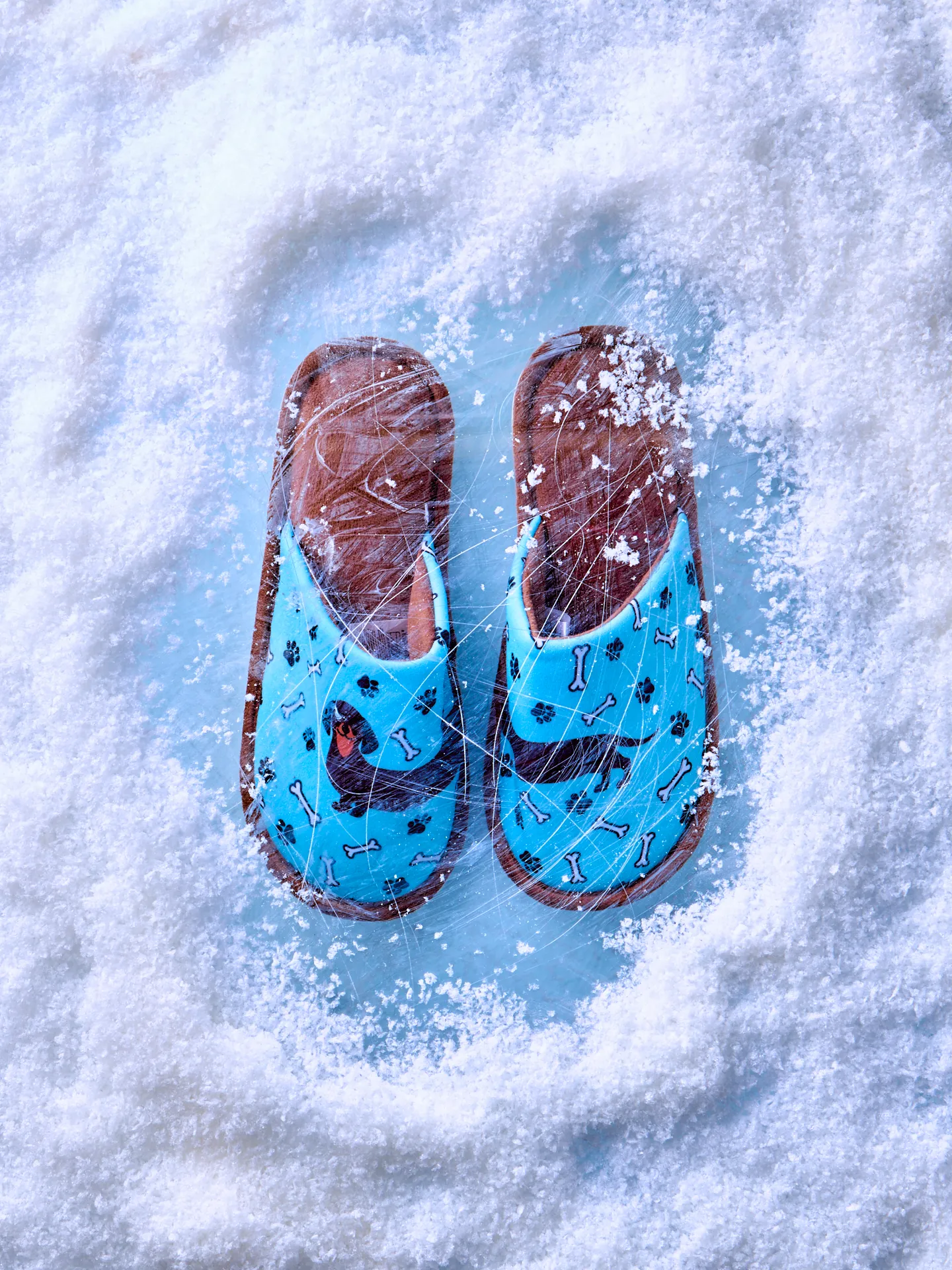 Pantoufles rigolotes Teckel à poil long - Image 6